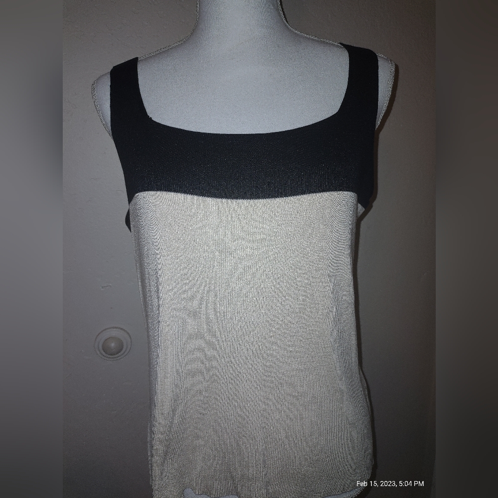 Ann Taylor Silk Tank